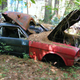 Illustration for article titled Massive Secret Mustang Junkyard Found In Rhode Island Forest